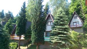 zatokaszczesliwych ludzi stabrawa tadeusz