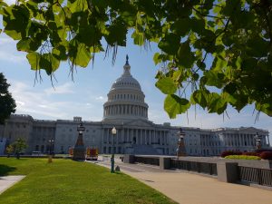 waszyngton stabrawa tadeusz dascoin